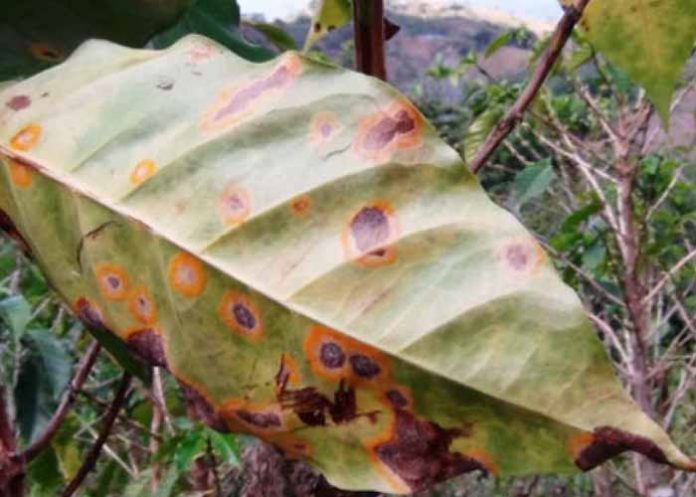 Sin_titulo-1_WlWfEuu