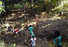 Seis muertos en una comunidad de descendientes de esclavos prófugos en Brasil