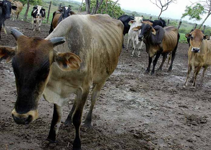 Sin_titulo-1_Y58u9IQ