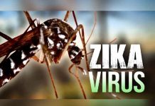 Human Rights Watch alerta que Brasil puede enfrentar nuevo brote de zika