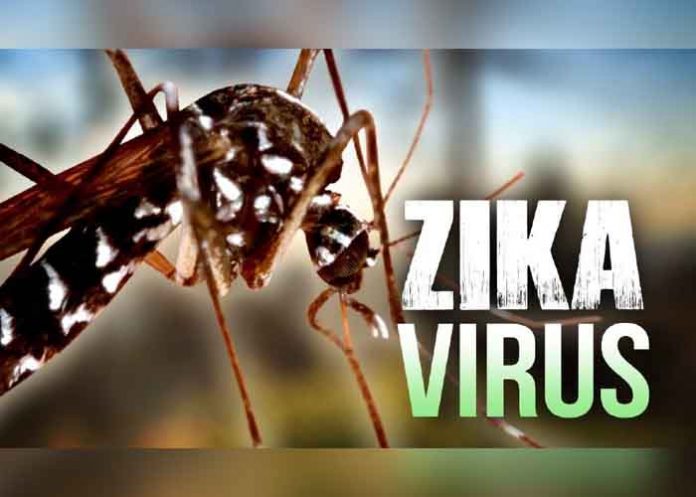 Sin_titulo-1_Z1nJDsm