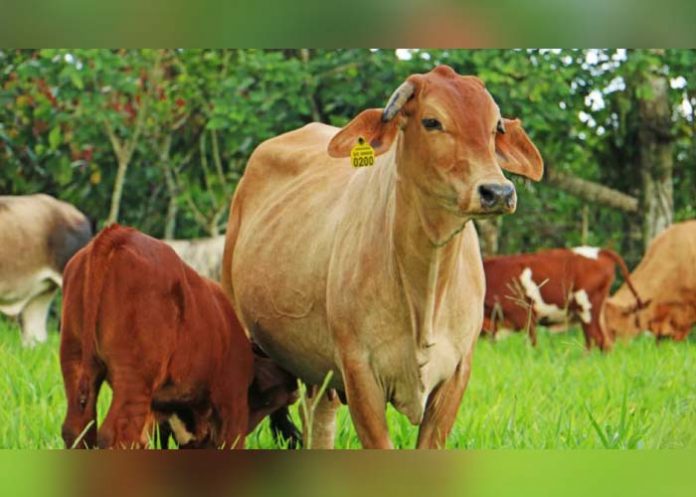 Sin_titulo-1_ZCJzuZ4