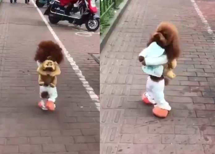 Sin_titulo-1_ZDnwlE6