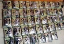 Decomisan 981 mil dólares escondidos en autobús en el noreste de México