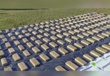 Argentina: Gigantesco operativo en Buenos Aires deja fuerte decomiso de drogas