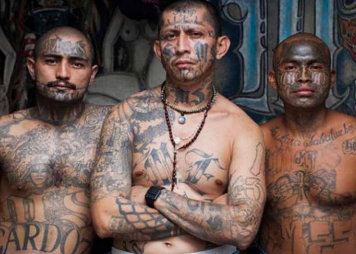 Sin_titulo-1_ZoGu8Cl