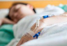 Brasil: Detectan mutaciones genéticas en virus de fiebre amarilla