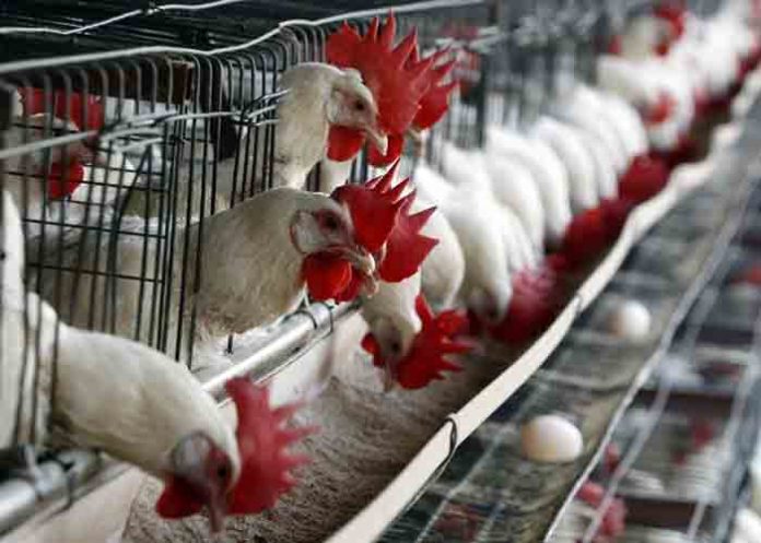 Sin_titulo-1_aiA9CVb