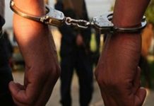 Quiebran banda criminal por contrabando de ganado en Uruguay