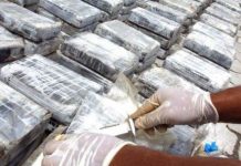 Decomisan 500 kilos de cocaína y detienen a 4 personas en Panamá