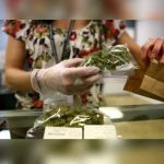 Uruguay abre registro para comprar marihuana