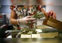 Uruguay abre registro para comprar marihuana
