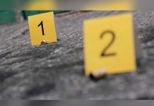 Argentina: Anciano asesinó a su hijastra y se suicida con un disparo en la cabeza