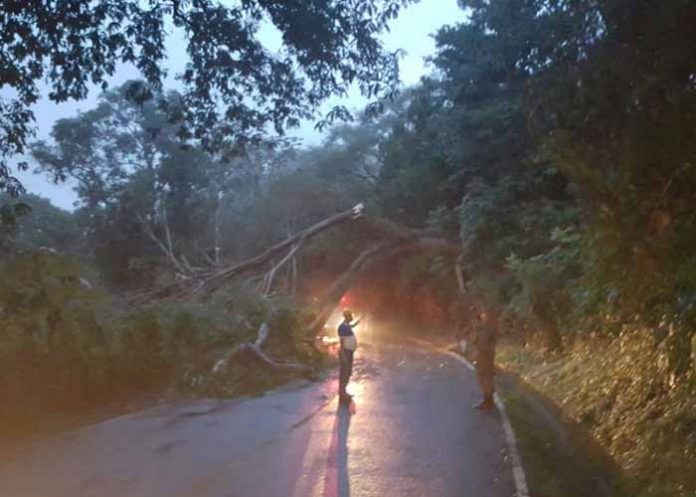 Sin_titulo-1_cU81LUI