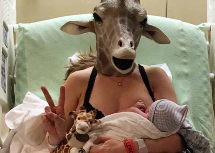 Sin_titulo-1_cs8lZRg