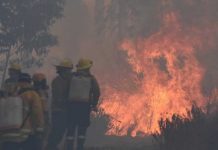 Incendio forestal daña 250 hectáreas en área protegida del centro de Bolivia