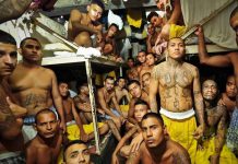 El Salvador no soportaría llegada masiva de pandilleros