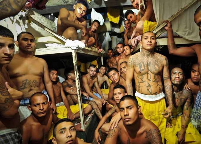 Sin_titulo-1_d0uezhs