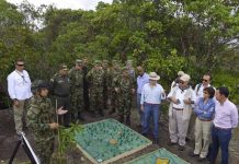Colombia erradicó 23.000 hectáreas de coca entre enero y julio de 2017