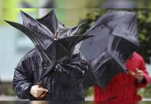Alerta naranja y amarilla por fuertes vientos en zona sur de Uruguay