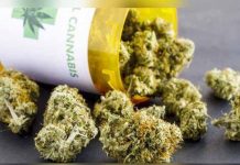 El gobernador de Puerto Rico firma la Ley del Cannabis Medicinal