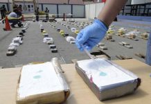 Policía incauta 1,3 toneladas de cocaína en zona costera de Ecuador