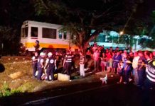 Costa Rica: Hombre muere al caer a río tras escapar de ser arrollado por un tren