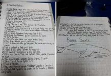 Detectan a «primer reclutador» en América Latina del juego «ballena azul»