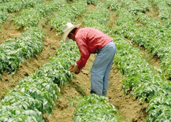 Sin_titulo-1_h9Dy3wh