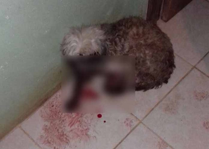 Sin_titulo-1_hrJmWr4