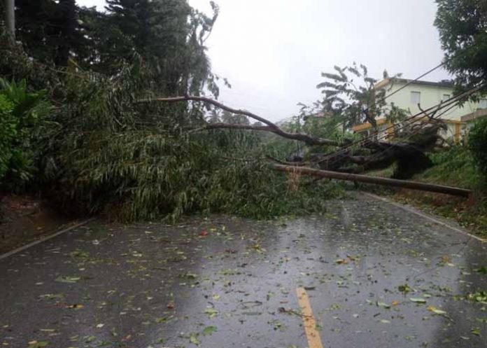 Sin_titulo-1_jecwkib