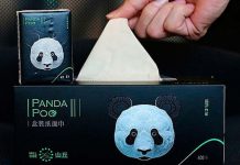 ?Servilletas y papel higiénico son fabricados con excremento de oso panda