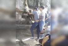 Video: Chavalos intentan destruir esculturas en Reserva Natural Tisey – La Estanzuela