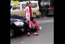 Lo que hacen ellos te dejará con la boca abierta