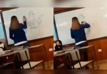 Profesora borra gato dibujado en la pizarra y se lleva tremenda sorpresa (VIDEO)