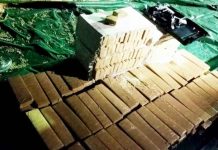 Brasil: Policía halla 4,3 toneladas de marihuana y 23 pistolas en un camión