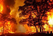 La Niña contribuye a amenaza de incendios forestales en Estados Unidos