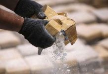 Incautan en El Salvador 500 kilos de cocaína
