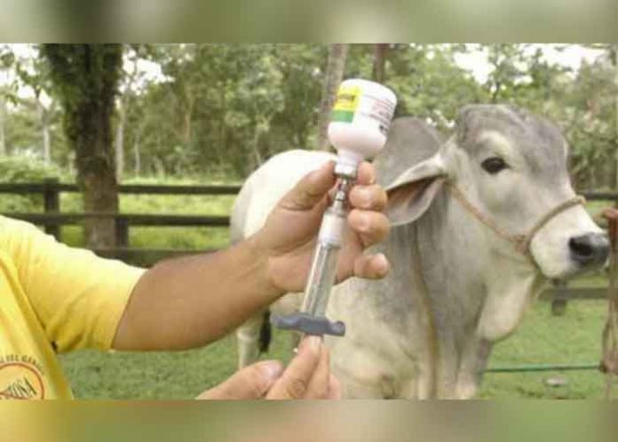 Sin_titulo-1_nChNrOA