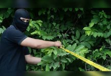 El Salvador cerró el mes de abril con 291 homicidios