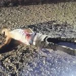 Asesinan a balazos a chavalo en calle solitaria de Costa Rica