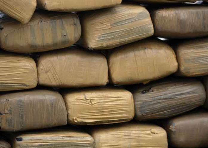 Sin_titulo-1_nnr1olp