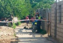 Hallan cadáver descuartizado, calcinado y enterrado en una casa de Argentina