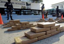 Decomisan media tonelada de cocaína en Ecuador