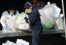 Paraguay: Decomisan armas y más de 35 toneladas de marihuana