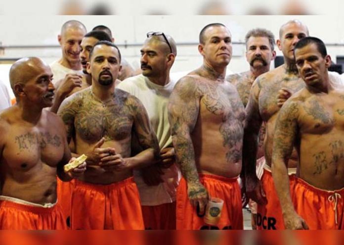 Sin_titulo-1_qLysGKp