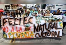 Protestan contra expansión de cultivo de piña en Costa Rica