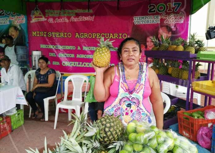 Sin_titulo-1_qTpa9X6