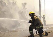 Detienen a autor de dos de los incendios que arrasaron miles de hectáreas en Chile