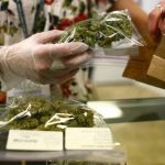 Uruguay habilitará puntos para la compra de cannabis con dinero en efectivo